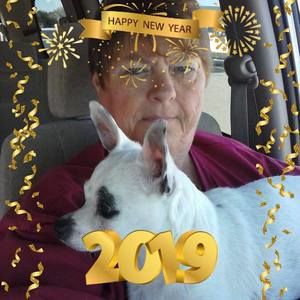 Meet your Posher, Cheryl